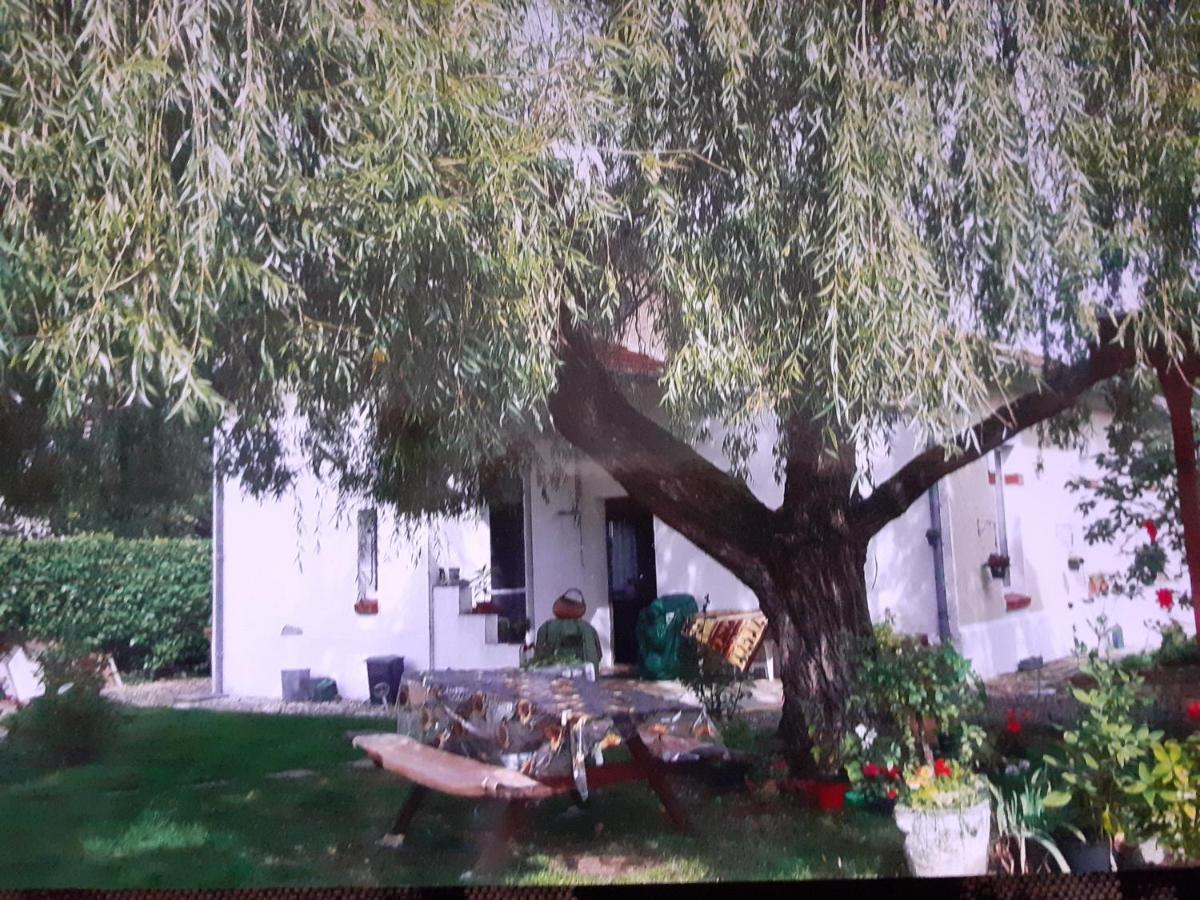 Hotel Peti Kaz Saint-Seurin-sur-l'Isle Esterno foto